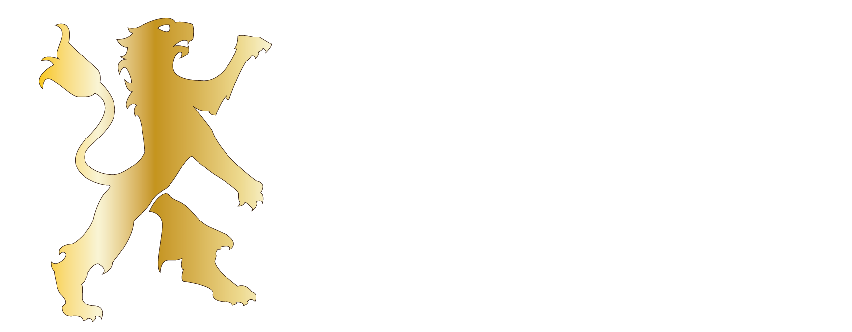 B&S Capital